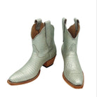 Pair of  silver lizard luxury cowgirl cowboy boot with brown soles on a white background